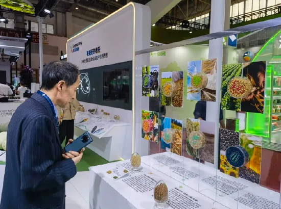 图为链博会上，参展观众在观察不同农作物的种子。新华社记者 于文静 摄
