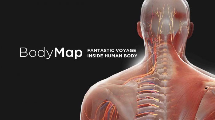 解剖学和医学教育 BodyMap for Anatomy and Medical Education