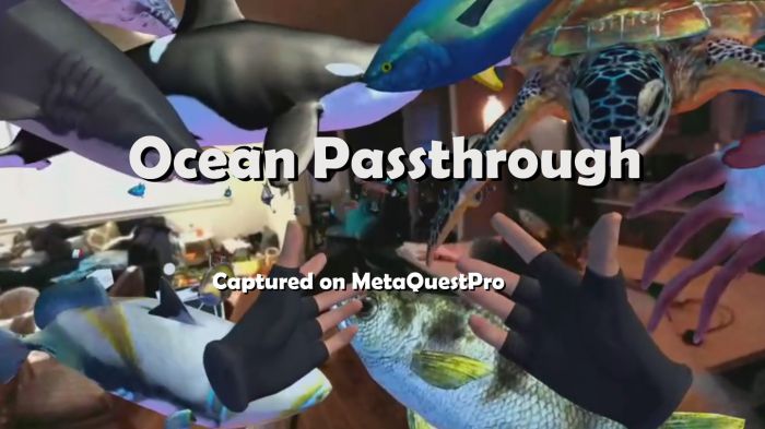 海洋世界 Ocean Passthrough