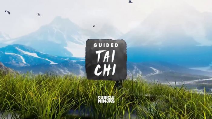 太极冥想 Guided Tai Chi