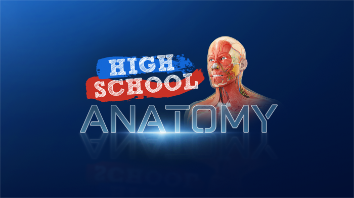 高中解剖学VR High School Anatomy for Quest