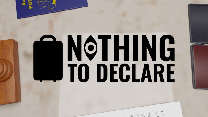 机场安检 Nothing to Declare