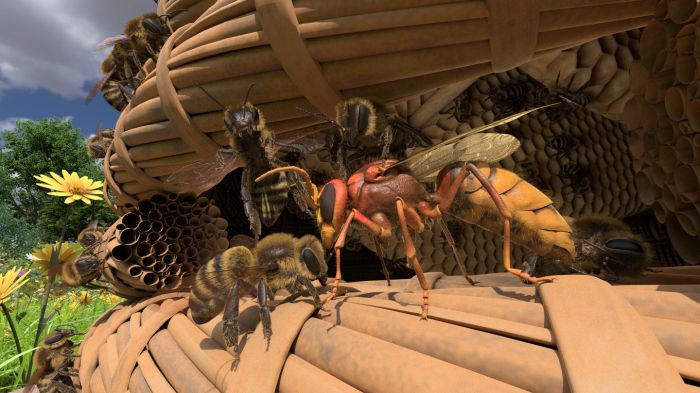 蜜蜂VR Honeybee VR