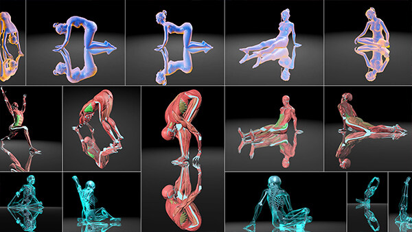 瑜伽训练师 VirtuaLiron – VR Immersive YOGA practice