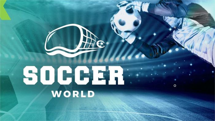 足球世界 Soccer World