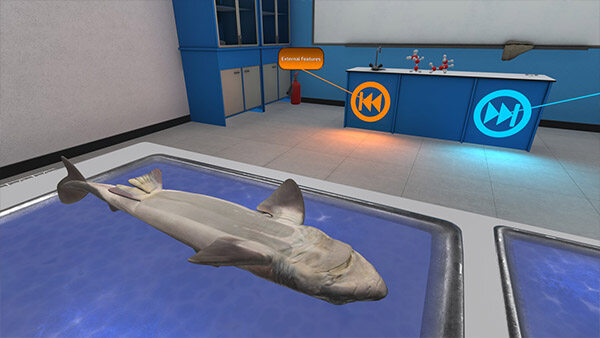 解剖模拟器：角鲨版 Dissection Simulator: Dogfish Edition