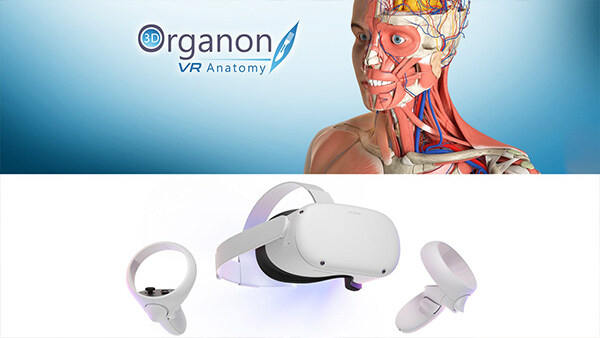 VR 人体解剖学 3D Organon VR Anatomy