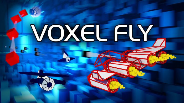 体素飞行 Voxel Fly
