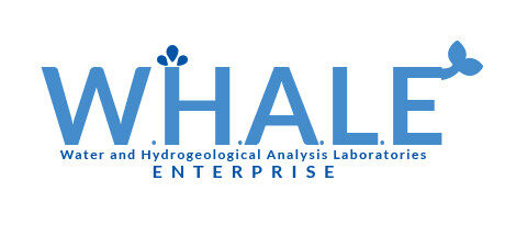 水实验 W.H.A.L.E.