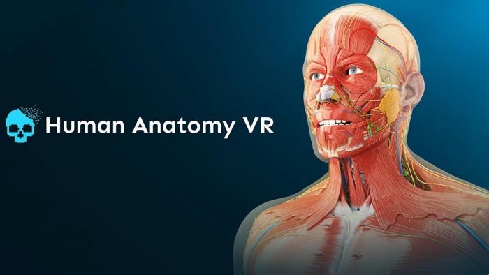 人体解剖学VR Human Anatomy VR