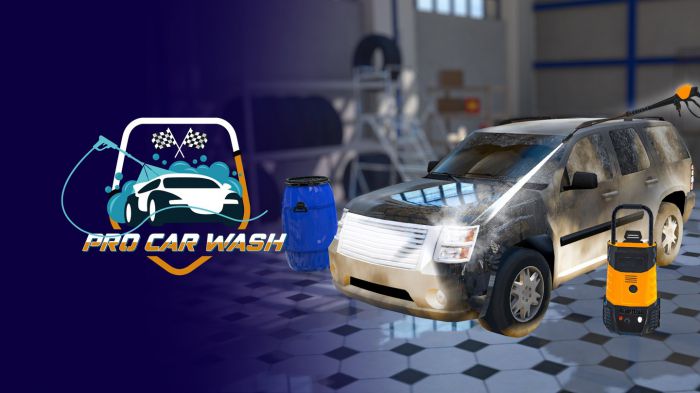 专业洗车 PRO Car Wash