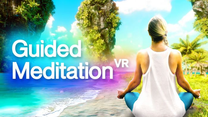 引导冥想 VR Guided Meditation VR