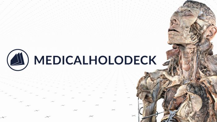 医疗全息甲板解剖大师 XR Medicalholodeck's Dissection Master XR