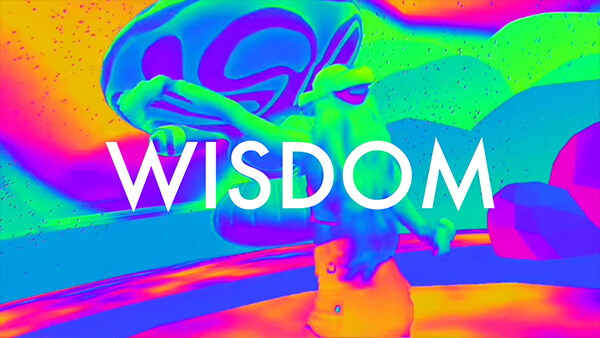 智慧VR Wisdom