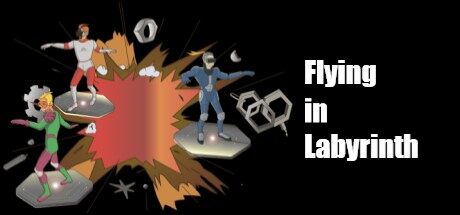 在迷宫中飞行 Flying in Labyrinth