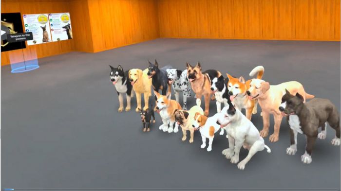 顶级 K9 Top Tier K9