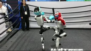 从格斗到陪伴：具身AI如何重新定义人机边界