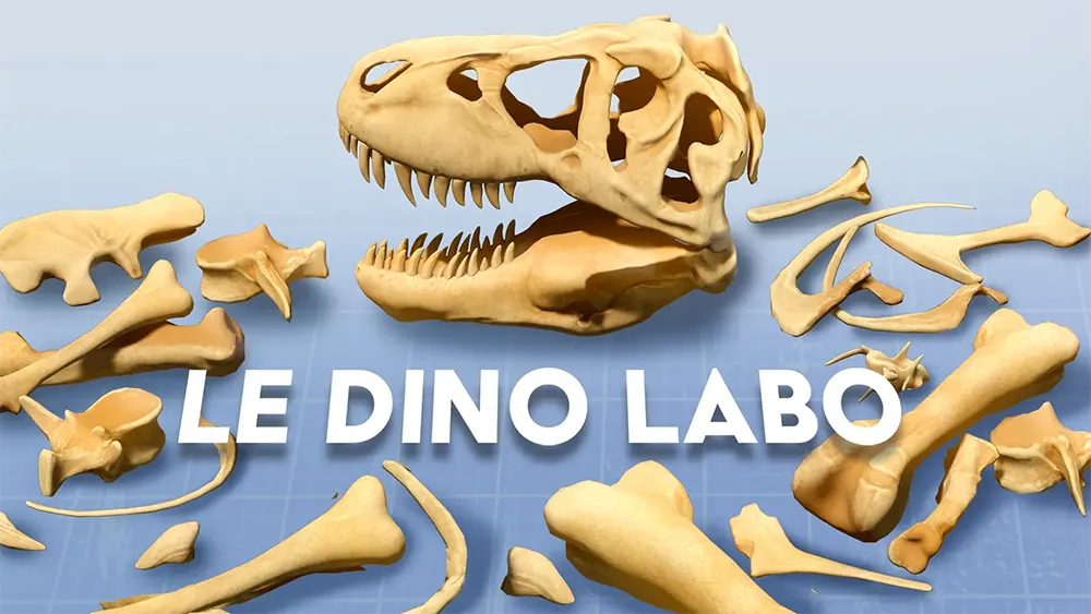 MR解谜游戏《Le Dino Labo》用手拼出真尺寸恐龙