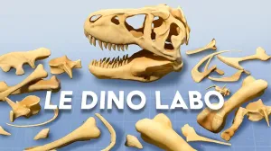 MR解谜游戏《Le Dino Labo》用手拼出真尺寸恐龙
